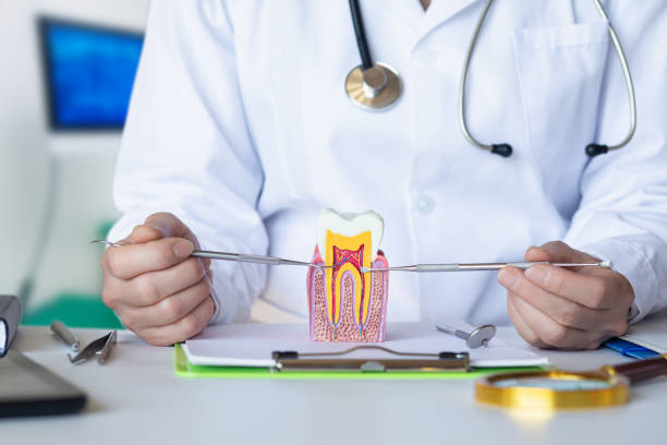 Best Urgent Dental Care for Toothaches in Wardsville, MO